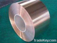 UNS C17500 Beryllium Copper Strip