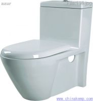 toilet seat and toilet bowl