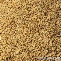 Sell Organic Golden Flax Seeds