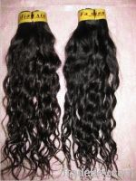 Sell natural Brazilian Virgin Brazilian wavy Curl hair with all length