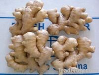 Sell fresh ginger