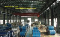 Sell hot rolled sheet and cold rolled sheet