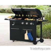 Charcoal & Gas Barbecue
