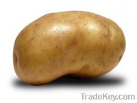 Offer of potato