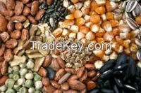 Vegetable Seeds