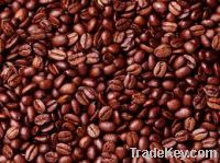 Export Coffee Beans | Arabica Coffee Beans Suppliers | Robusta Coffee Beans Exporters | Coffee Bean Traders | Wholesale Coffee Beans | Buy Coffee Beans | Bulk Coffee Bean | Green Coffee Bean Buyer | Low Price Roasted Coffee Bean | Import Coffee Bean | Cof