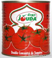 Soft Corporation Offer Tomatoes Pasta