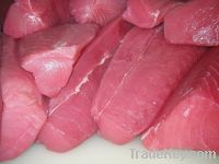 frozen yellowfin tuna exporters