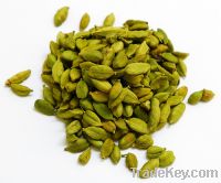 Sell Cardamom