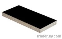 Sell Black Film Faced Plywood