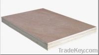 Sell MERANTI PLYWOOD