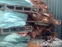 Copper Wire Scraps Suppliers | Copper Scrap Exporters | Copper Scrap Manufacturers | Cheap Copper Scrap | Wholesale Copper Scraps | Discounted Copper Scrap | Bulk Copper Scraps | Copper Scrap Buyer | Import Copper Scrap | Copper Scrap Importers | Copper S