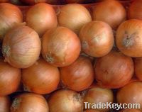 Sell Chinese export fresh yellow onions