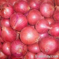Sell Chinese exports fresh red onions