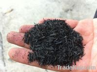 Carbonized Ricehusk Ash