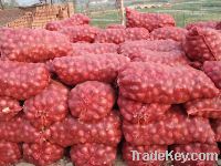 Sell Quality Fresh Red And Yellow Onion For Sale