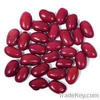 Sell high quality kidney beans