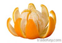 Sell Fresh Oranges