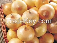 Grade A Fresh yellow, White and Red Onions