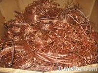 Sell copper Scrap Wires