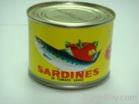 Sell Canned Sardine in Tomato Sauce