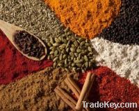 Indian Mixed Spices