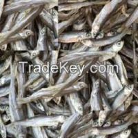 Animal Feed Dried Stockfish For Sale