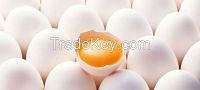 Farm fresh Chicken eggs