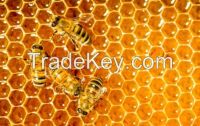 100% NATURAL POLYFLORAL BEE HONEY