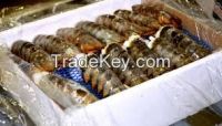 Frozen Lobster Tails for sale