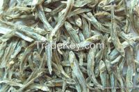 Dried Anchovy