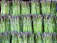 frozen green asparagus