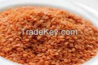 Red Lentils