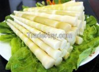fresh bamboo shoots food