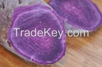 FRESH JAPANESE PURPLE SWEET POTATOES