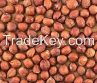 Processed and Unprocessed Hazelnut / Cobnuts or Filberts
