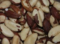 Dried/Raw/Roasted/Organic Brazil Nuts