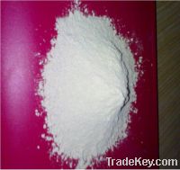 Sell Gypsum Powder