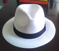 straw panama hat