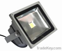 Flood light