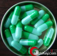 Sell Gelatin Empty Capsules