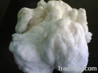 COMBER NOIL, HARD WASTE , Cotton pneumafil, COTTON WILLOW FLY