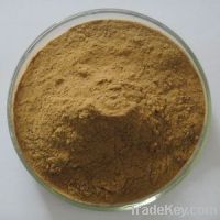 Sell Schisandea chinensis extract