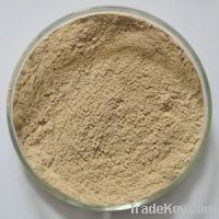 Sell Supply Green coffee bean extract