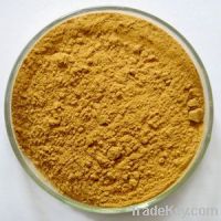 Sell Supply Natural Angelica Extract