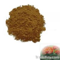 Sell  Coryceps sinensis mycelium Extract