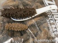 Sell Hokkaido sea cucumber