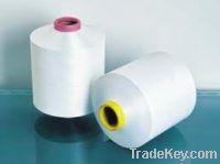 DTY 300/96 Polyester Yarn