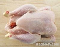 Sell Frozen boneless halal chicken breast