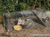 Sell Possum Rat Traps